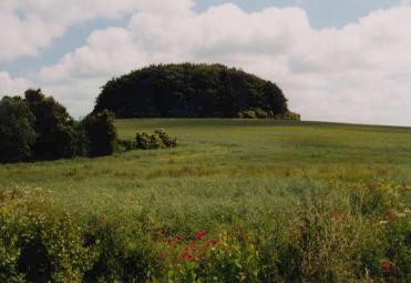 Der Braunsberg